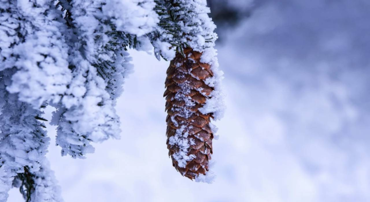 Unstable weather persists in Kazakhstan on January 26