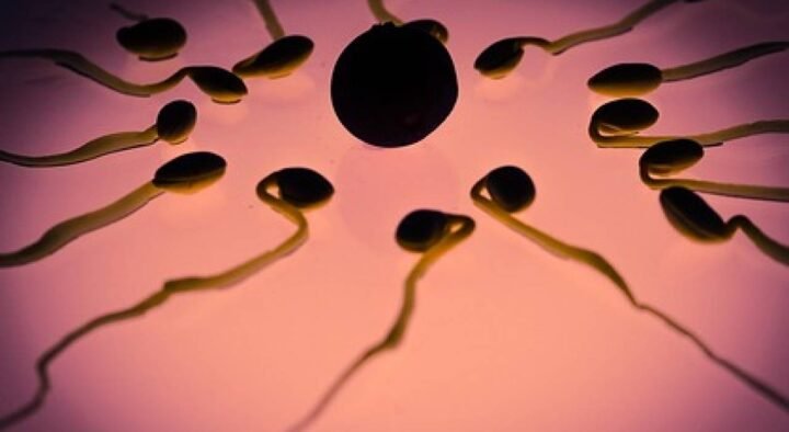 Scientists have discovered killer sperm