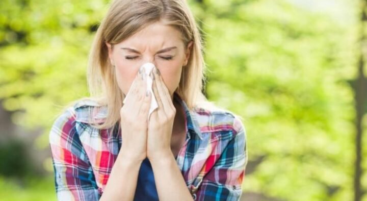 The reason for the increase in the number of allergy sufferers is named