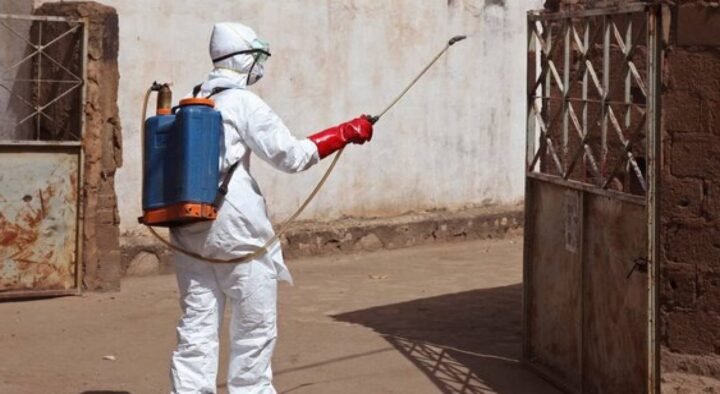 Ebola epidemic starts in Guinea