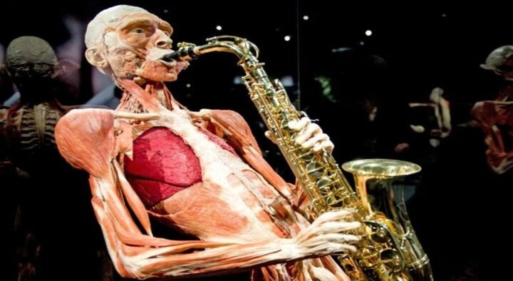 “The Happiness Project” presents Human Anatomy in Amsterdam